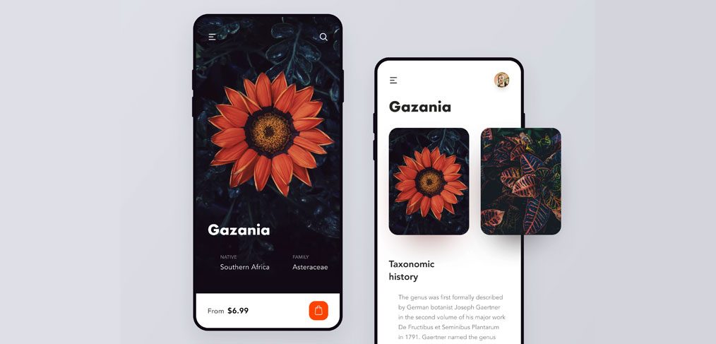 Flowers mobile shop concept for Figma